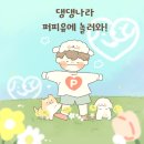 댕댕나라