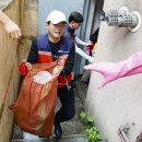 고양이당 이미지