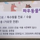 파우 동물병원 이미지