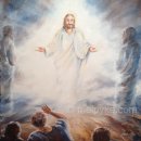 Tragt das herrliche Bild Christi! (Matthäus 17,1-13) 이미지