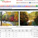 금빛민박 이미지