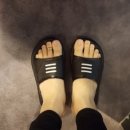 토즈스터디센터부개독서실 이미지