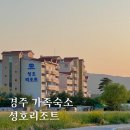 (주)성호리조트 | 경주 가족숙소 성호리조트 1박 솔직 후기