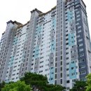 삼구트리니엔세탁소 네이버블로그
