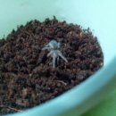 성철농장 이미지