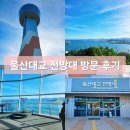 울산대교전망대주차장화장실 | 울산대교 전망대 주차장 입장료 방문 후기