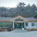 솔향기오리촌 | [포항/음식점] 솔향기 오리촌