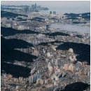 참부동산행정사 이미지