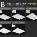은하수플라워