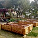 학현초등학교 이미지