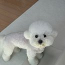 그루밍이즈 이미지