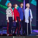 샤이니독 이미지