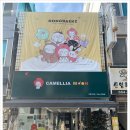 카멜리아문여수이순신