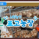 김형표농장 네이버블로그