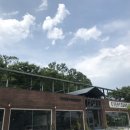 에브리선데이커피부용점 이미지