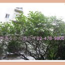 주공농장 이미지