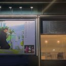 국제애견 이미지