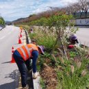 시가지도 이미지