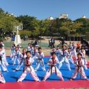 용인대 준 태권도 이미지