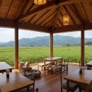 무릉도원면-34 | [카페 핫플] 강원도 영월군 카페 핫플 투어 가이드