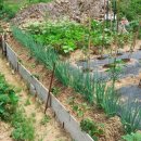 육일공인중개사사무소 이미지