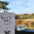 솔레올레 이미지