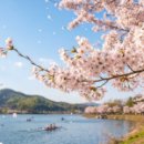 부경렌즈 이미지