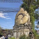 지상낙원 - 중구 | [발리 우붓 투어] 원숭이들의 지상낙원 Monkey Forest 꿀팁 및 방문 솔직 후기