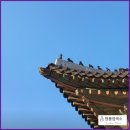 대공원명품세탁 | 서울에 가족 나들이 갈만한 곳 추천해 주세요. 명품 염색소가 알려드립니다. 설 연휴 서울시 가볼 만한...