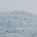 광현상회 네이버블로그