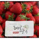 쌍둥농장 이미지