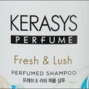 프래쉬애