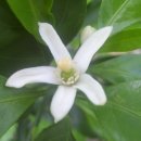 일남농장 이미지