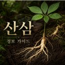 왕십리고려인삼 | 산삼에 블로그 작성가이드