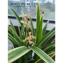 써브 행정사사무소 이미지