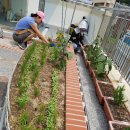 중리할머니경로당 이미지