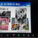 비움푸드 이미지