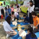 조성초등학교 이미지