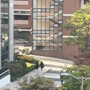 청년피자성주점 | 6월의구름