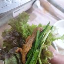 약천한방생오리 | 울산성안동 맛집 / 울산 오리고기 맛집 / 울산약천한방생오리