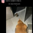 오야참치초밥 | 또,, 8월의 절반 ..,,
