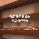판교로227번길 이미지