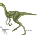 공룡타조랜드 이미지