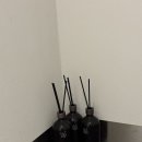 모우커피랩