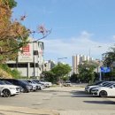 코방