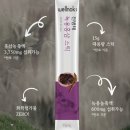 웰녹 | 녹용 홍삼 진액 선물, 온 가족 건강 지킴이, 웰녹 전병태 녹용 홍삼 진액으로 활력 되찾기