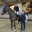 정철희 국제승마센터 이미지