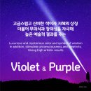 색채심리 이미지