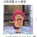 제육발견