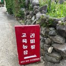 리미팜교육농장